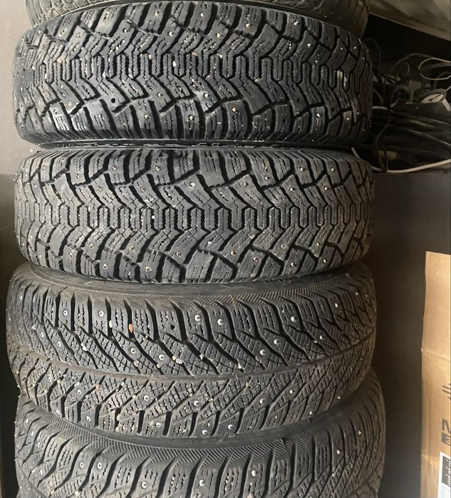Продам шину шипы зимняя