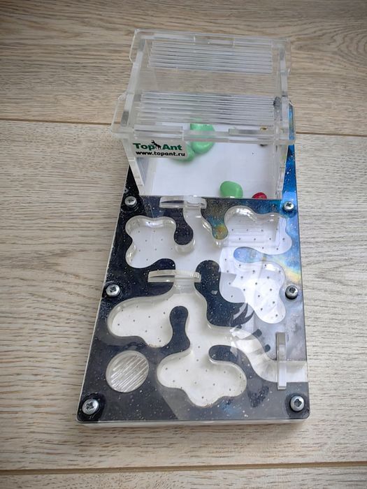 Формиркарий ферма для муравьев 9х19