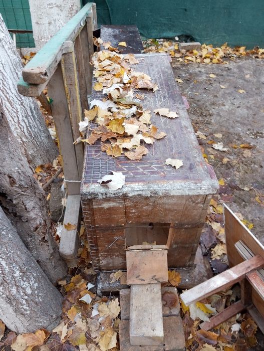 Валер из сундука продается срочно