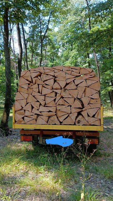 Lemn pentru foc salcam