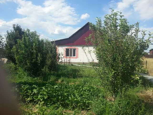 Продам дом село Шымыр