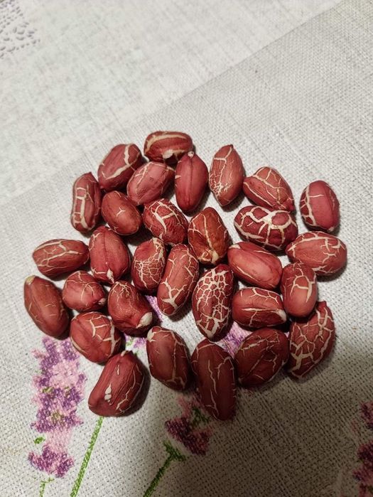 Фъстъци на едро - сурови и печени