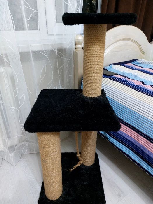 Когтеточка двухэтажная