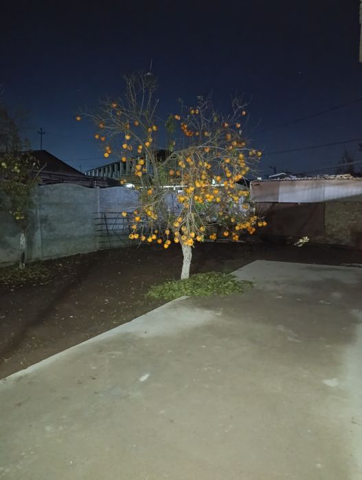 Uzo voxtgacha saqlasa boladgan xurmo ikki xil limon va shkoladniy