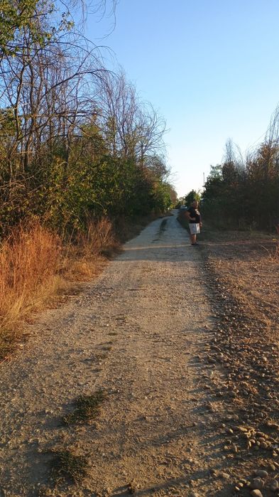 Teren, la pădurea Cornetu