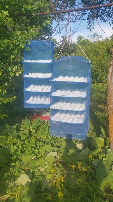 Домашний вкусный курт