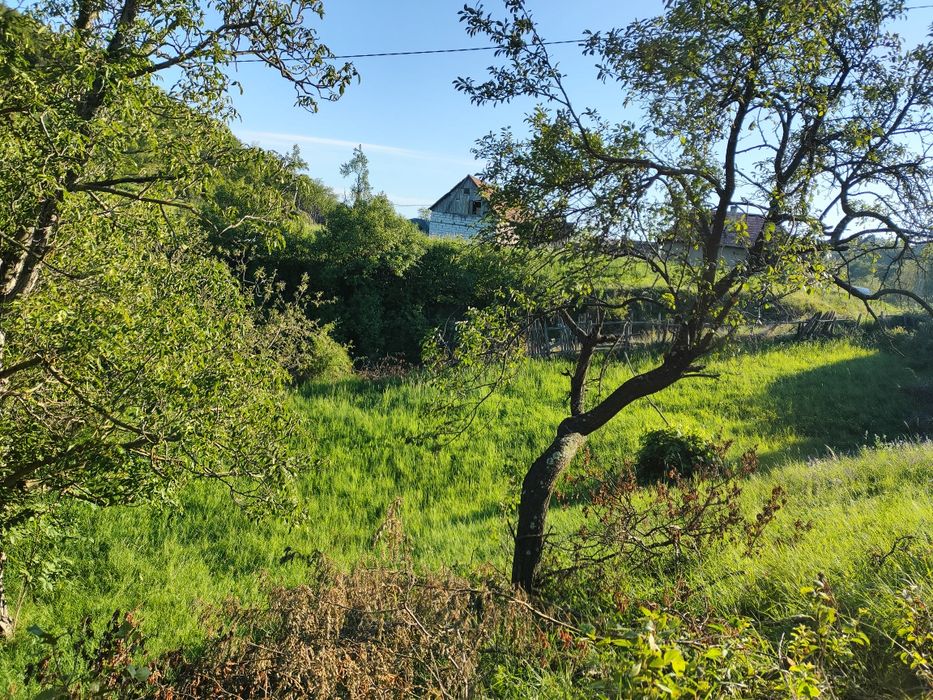 Vând casă și două anexe la Inuri