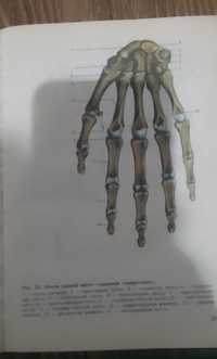 Продам книгу "Атлас анатомии человека"