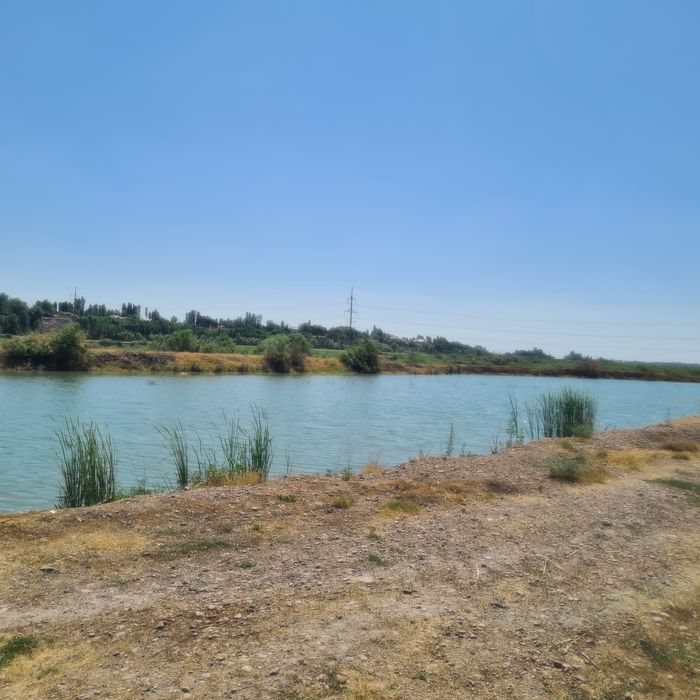 Ташморе идеальное место для туризм бизнеса