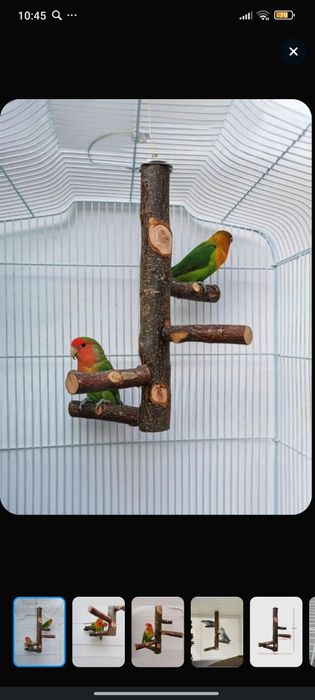 Жёрдочки для птиц ОПТОМ 16шт