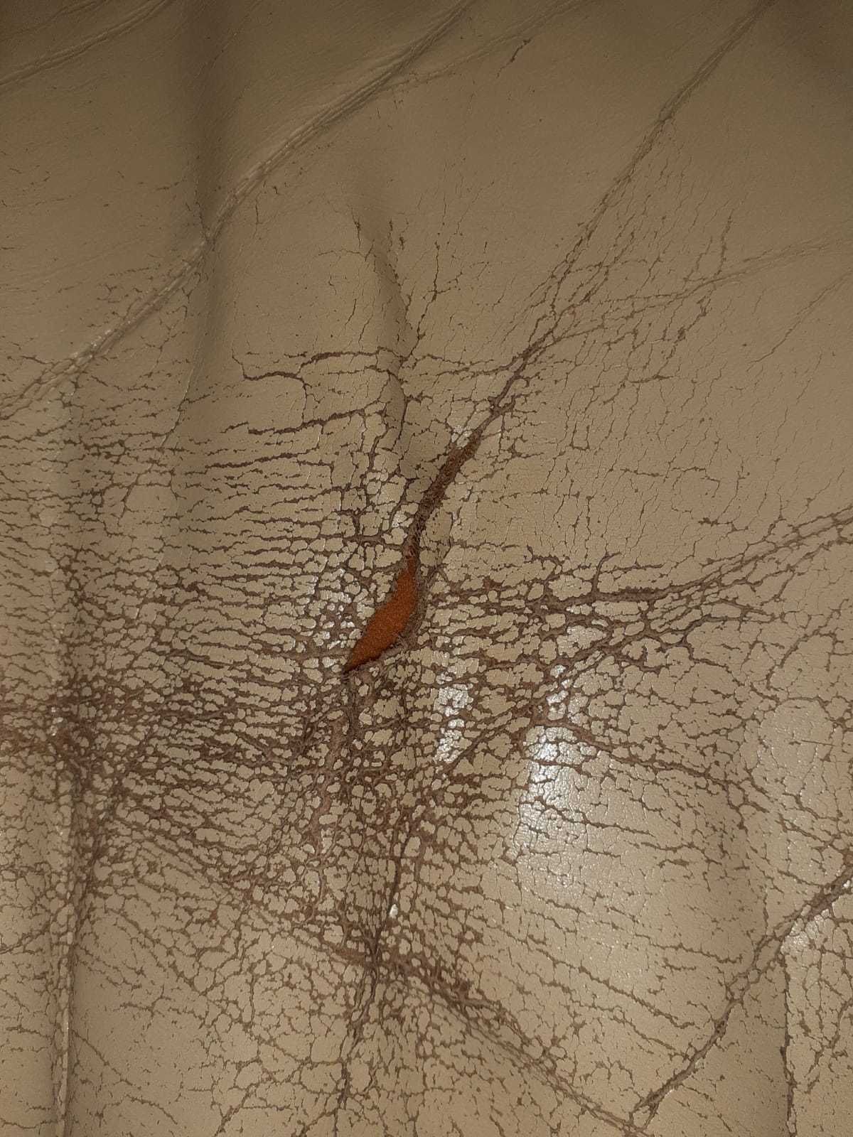 Canapele neextensibile din piele