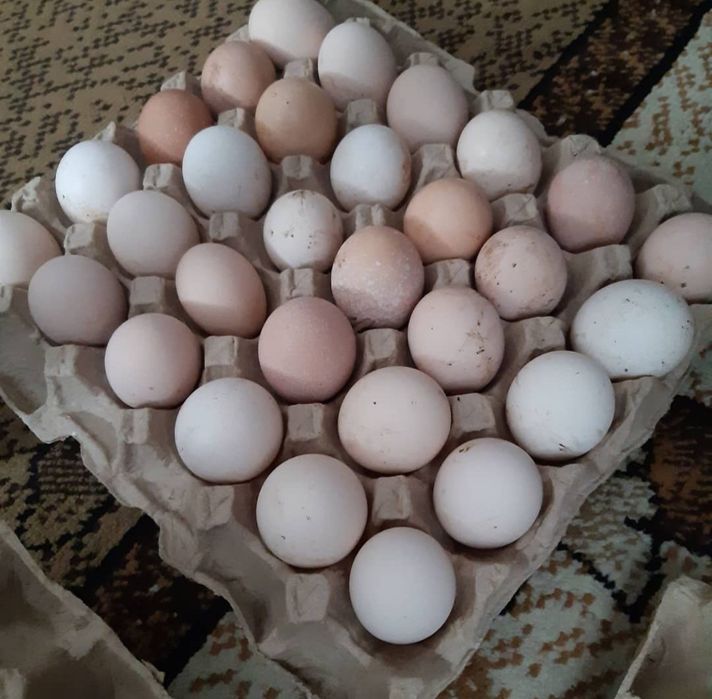Яйца сыр продукт масло рыба окорочка  филе перепелка фритюрное