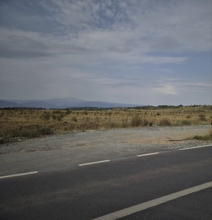 Teren intravilan Narcise preajba