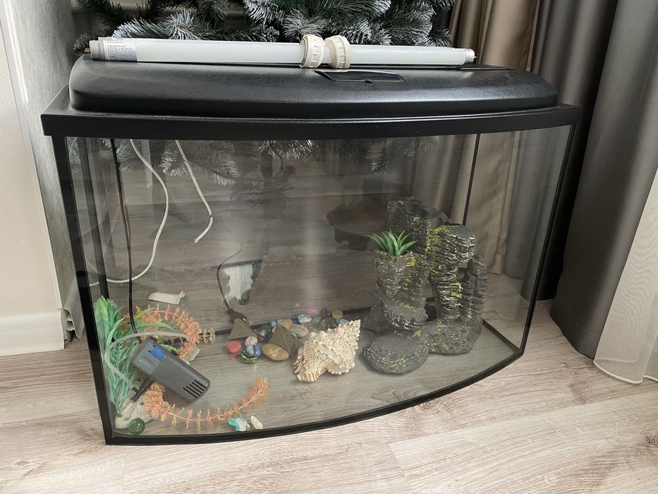 Аквариум для Рыб