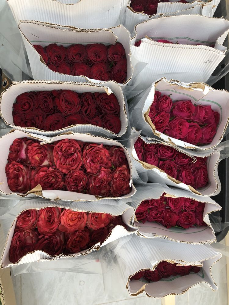Розы оптом из Кении