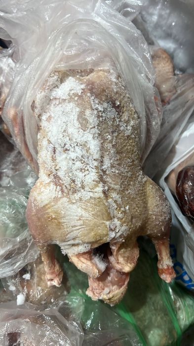 Продам уток мясо