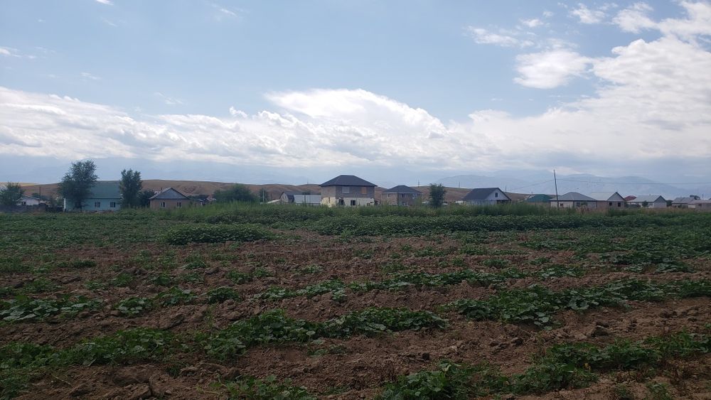 Земля 1.5 га Карасайкий район