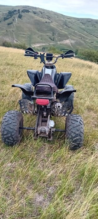 Vand bașan 250cc