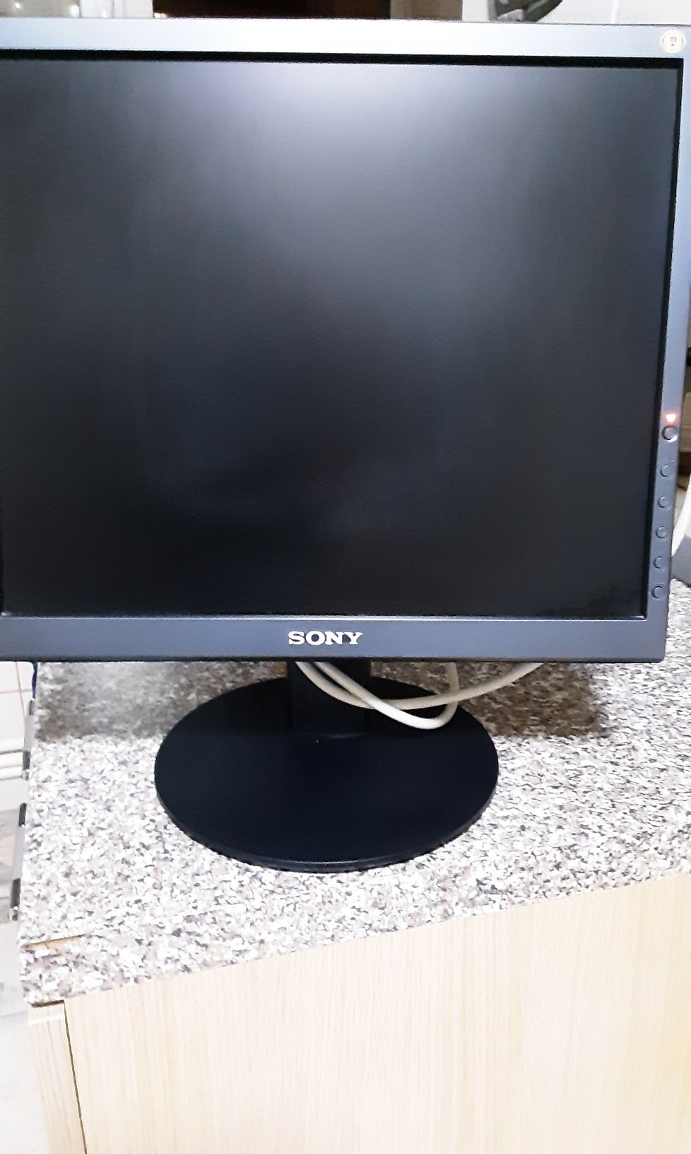 Monitor ASUS,  OKI ,SONY  utilizate