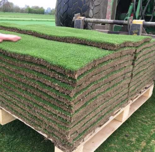 Gazon Rulou Sport / Premium