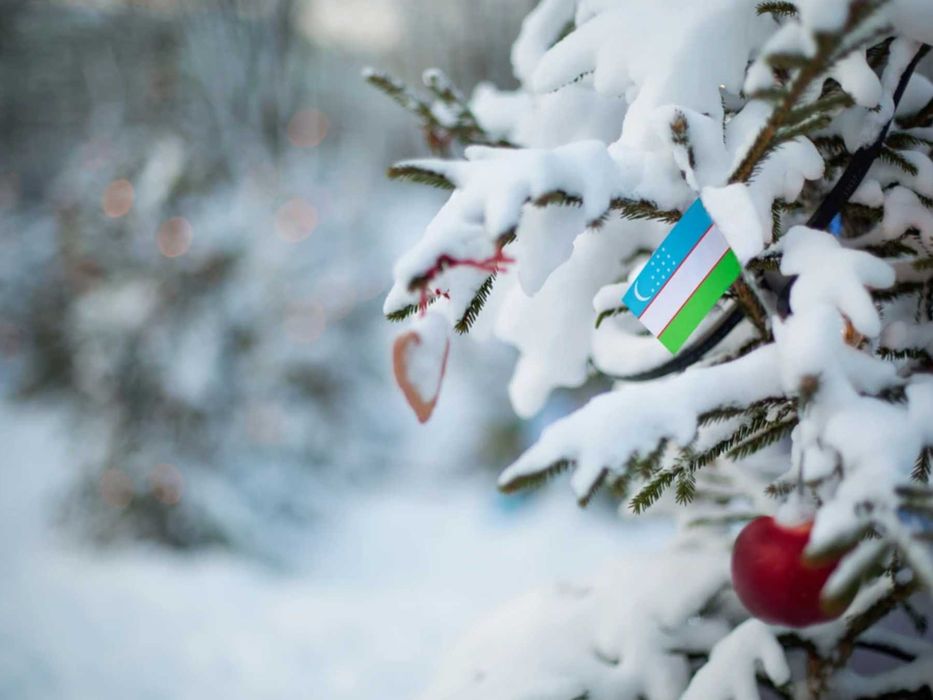 History, Culture, and Traditions - excurison around winter Samarkand