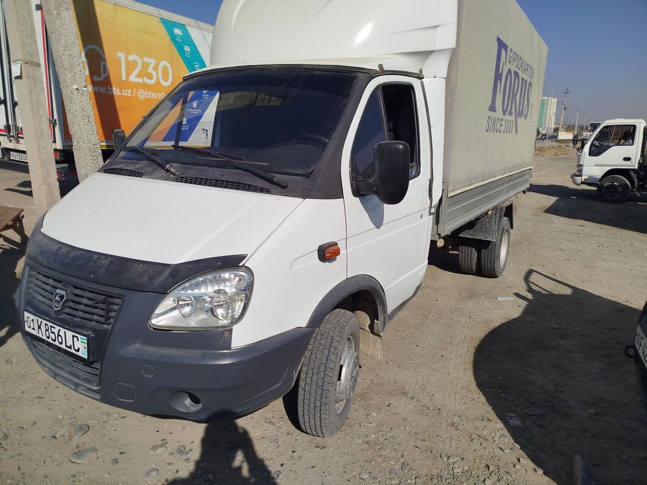 Gazel sotiladi 7 tona bemalol oladi