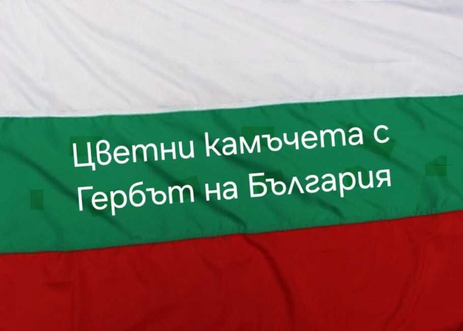 Доставка на Декоративни Чакълени Камъчета(Камъни)
