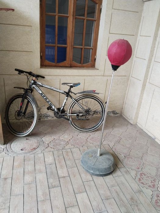 Боксерская груша