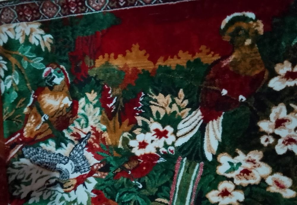 Carpeta rapirea din serai