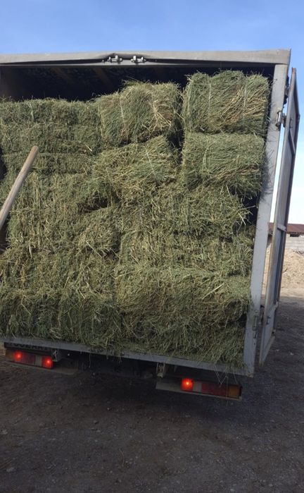 Жонышка пресс Туркестан қаласында доставкасың келісеміз.