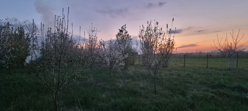 Vând 600 mp teren în loc. Mâsca Jud. Arad