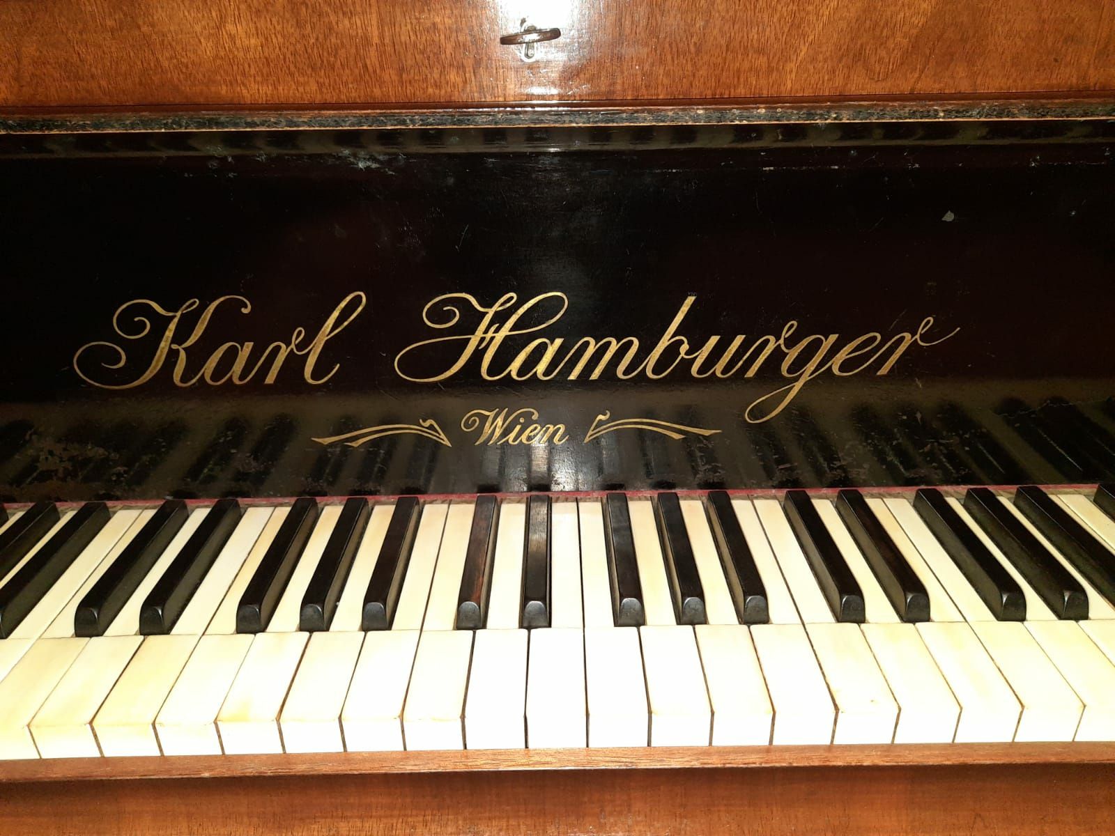 Pian clasic vienez Karl Hamburger