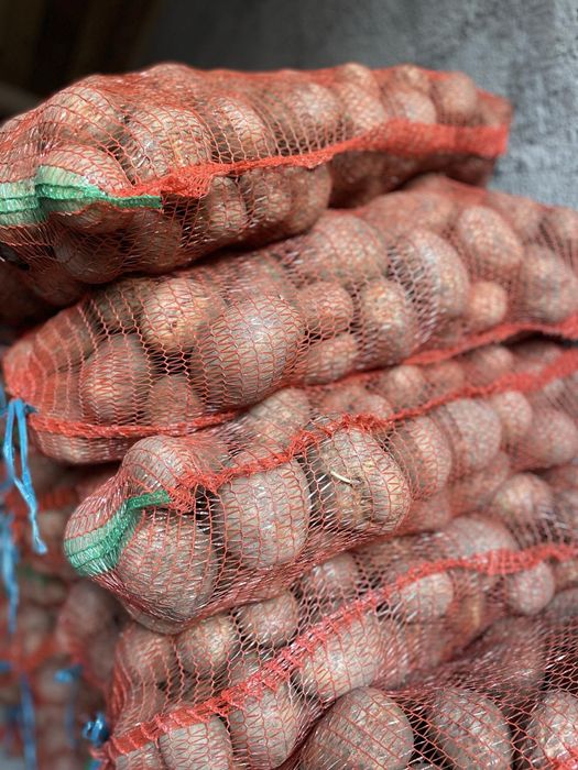 Vând cartofi de cosum și de dat la animale