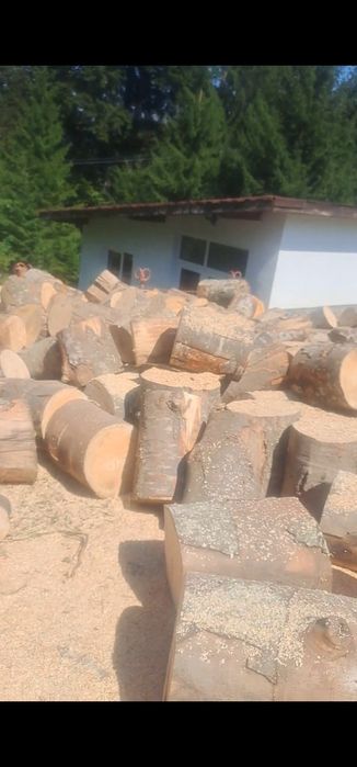 Tai  Lemne de foc cu drujba