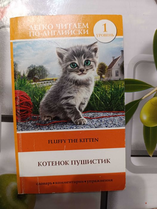 "Котенок пушистик"О.В. Миронова. Книга для изучения английского.