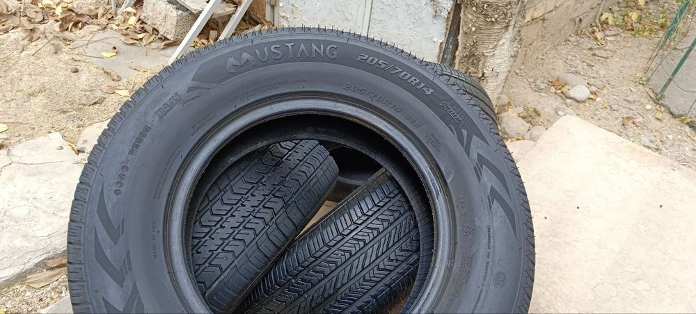 Шины  Mustang ch01