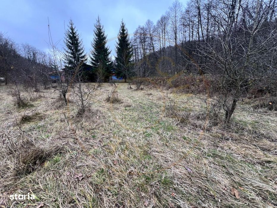 Teren intravilan 6.500 m²–Deschidere 144 ml drum european E81, km 3