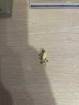 Pandantiv aur galben 14k
