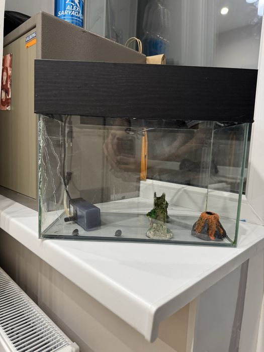 Аквариум 10л-12л, фильтр, светильник на крышке есть, камни есть