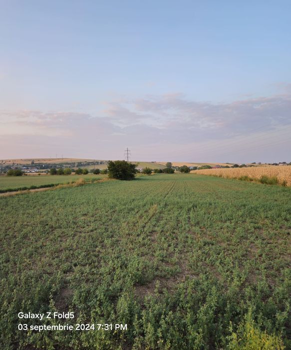 Teren intravilan Izvoare, Neamt.