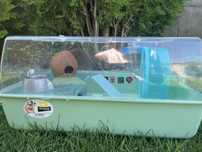 Cusca hamster  ferplast
