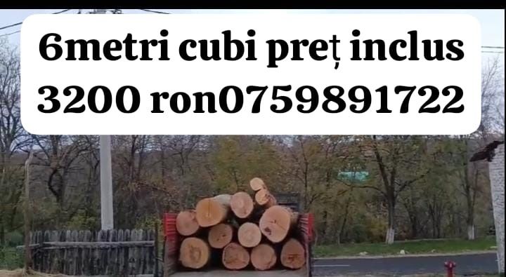 Vând lemne de foc buștean și crepate gata pentru sobă