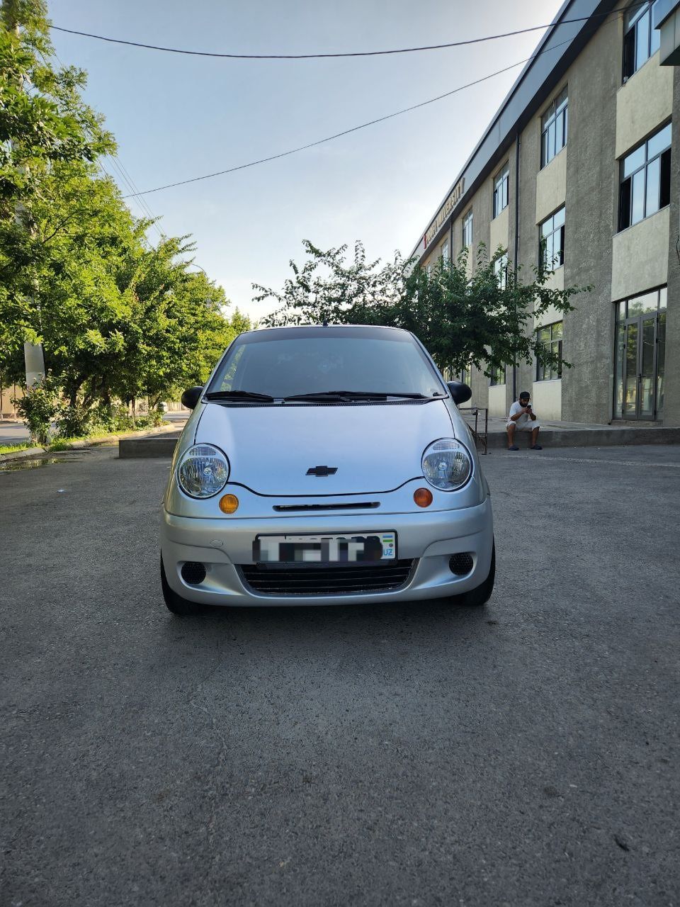 Matiz suxoyga beriladi.