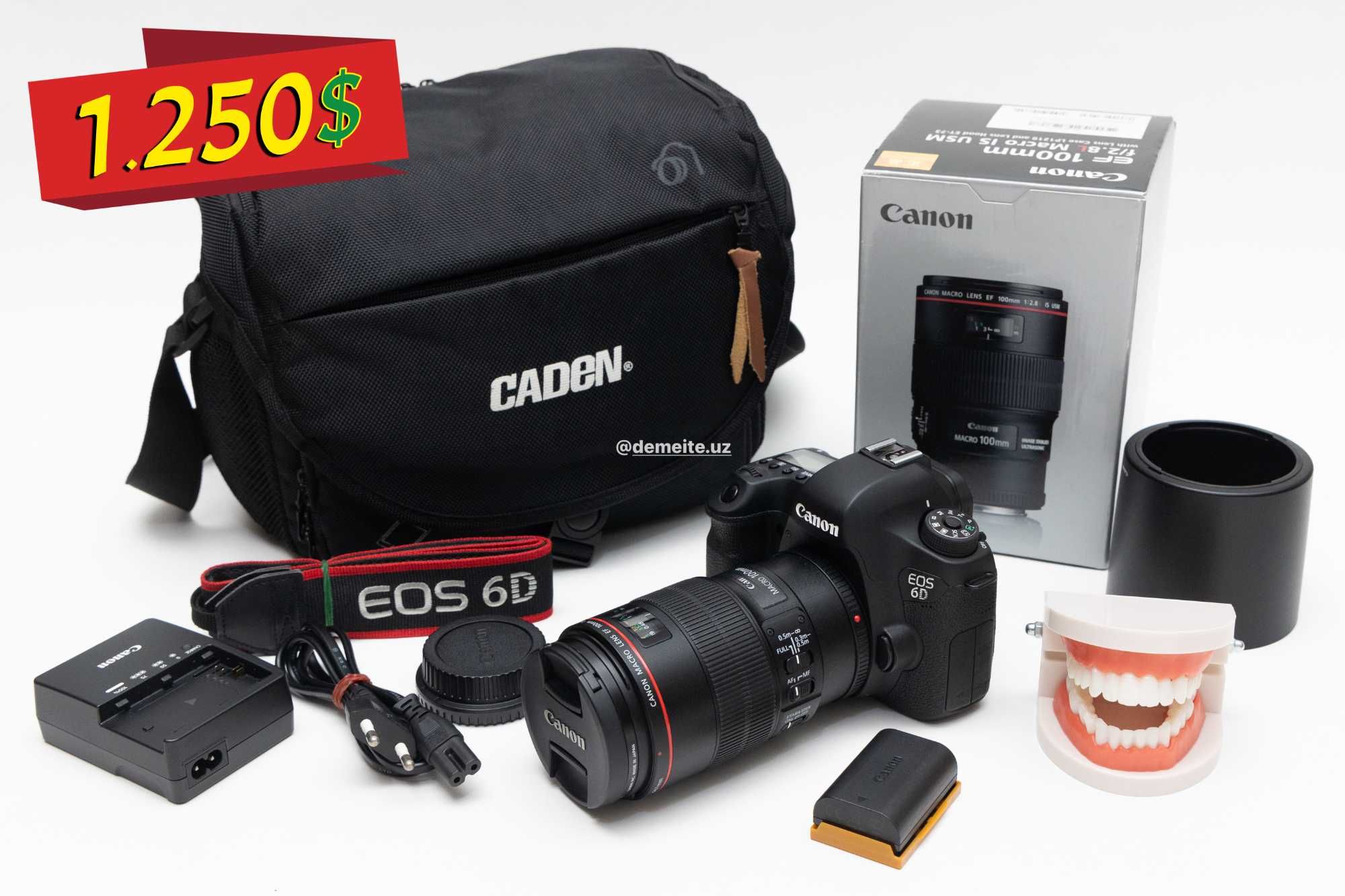 Canon EOS 6D Body + Canon EF 100mm f/2.8L Macro IS USM. Stomatologlar