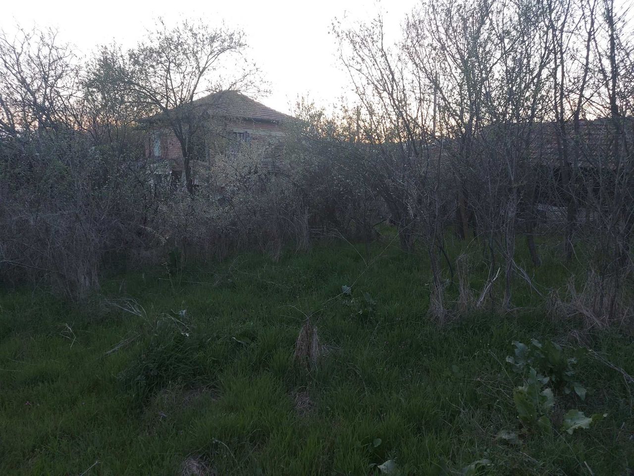 Продава се Парцел в с. Пъстрен, Област Стара Загора - 1414 кв.м за 3 €/кв.м - Снимка #4