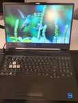 Laptop Asus TuF F15 Gaming, 24gbRAM, windows 11, Intel core I7, 2 buc