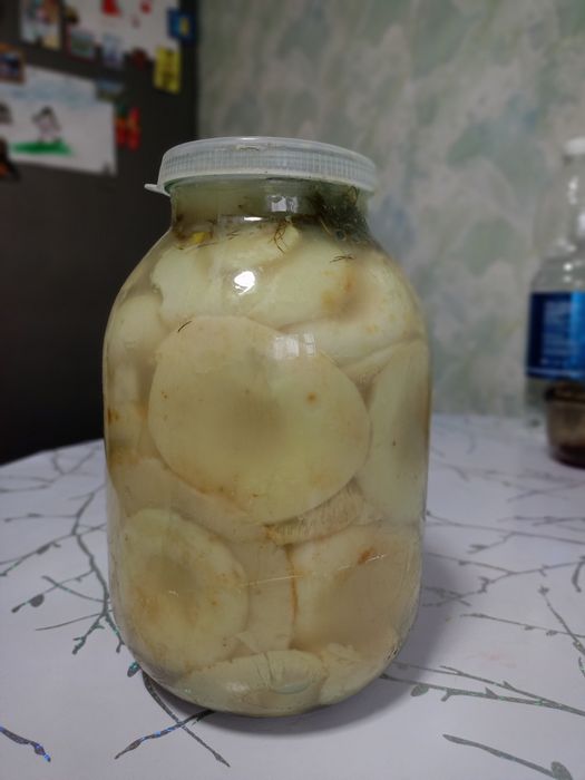 Продам соленые грузди