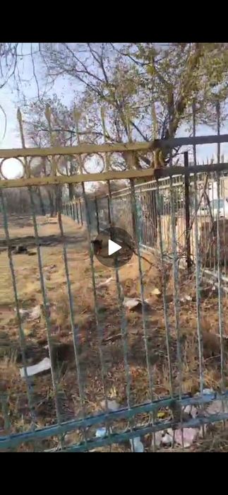 Продам ограждения