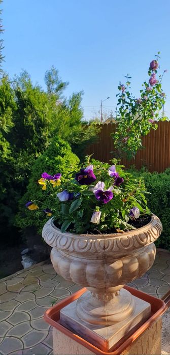Jardiniera beton,ghiveci gradina,jardiniera gradina