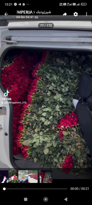 Сифатлик Атиргул кучатлари сотилади